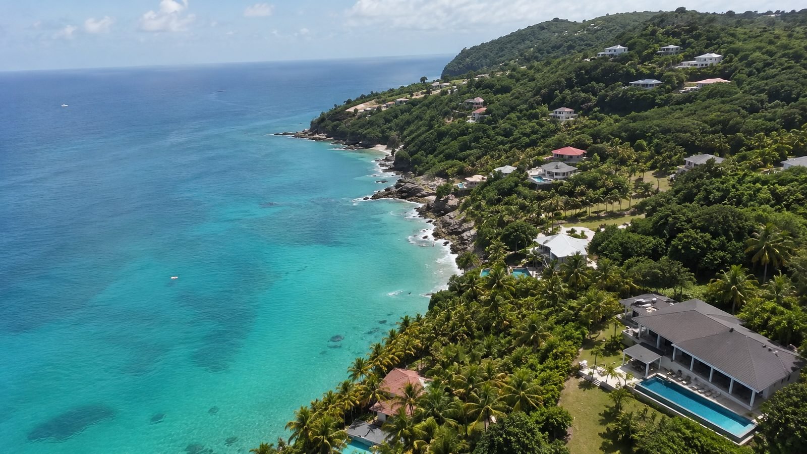 Vue aérienne du littoral et des villas en Martinique